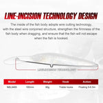 Big Crankbait Minnow