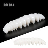 caterpillar Segemented Swimbait