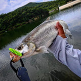 caterpillar Segemented Swimbait
