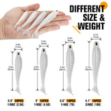 Paddle Tail  Soft Plastic Lures